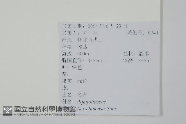 冬青藏品圖，第2張