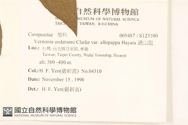 過山龍藏品圖，第2張