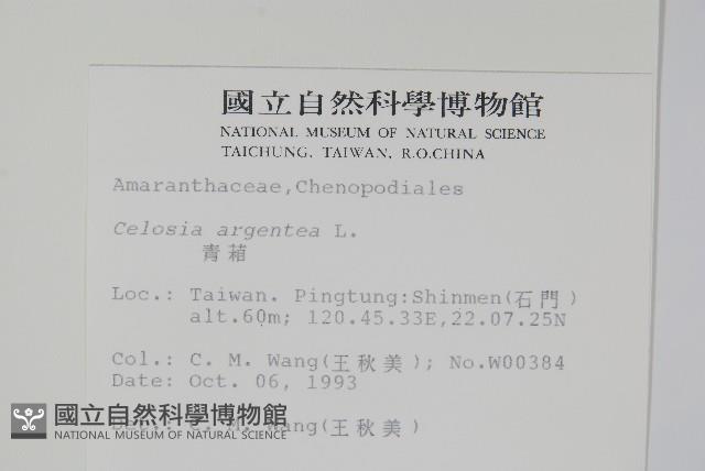 青葙藏品圖，第2張