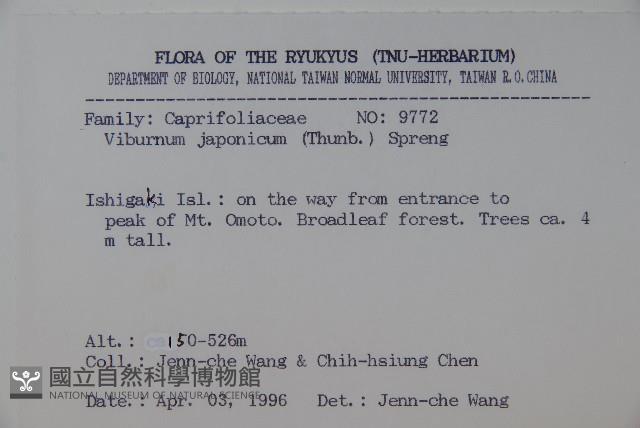 日本莢迷藏品圖，第2張