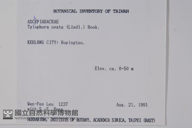 鷗蔓藏品圖，第2張