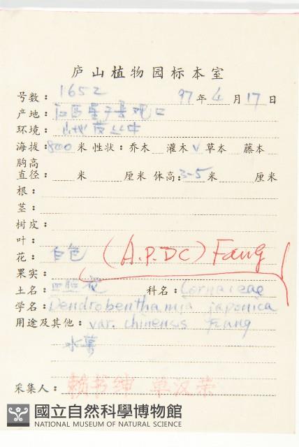 四照花藏品圖，第2張