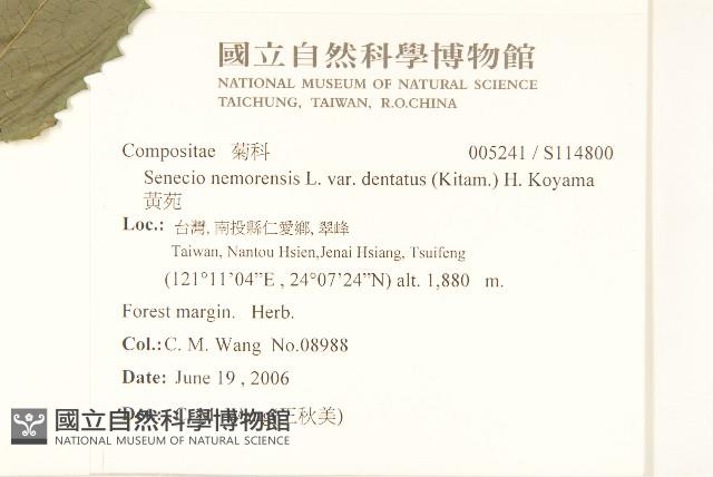 黃菀藏品圖，第2張