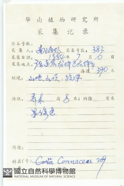 光皮樹藏品圖，第2張