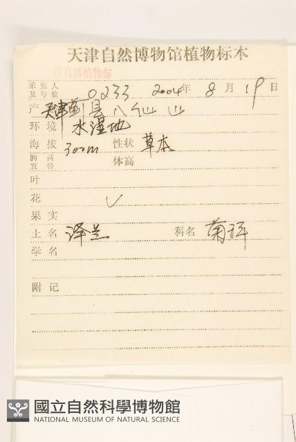 林氏澤蘭藏品圖，第2張