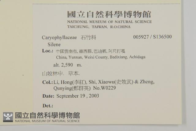 登錄號:S136500藏品圖，第2張