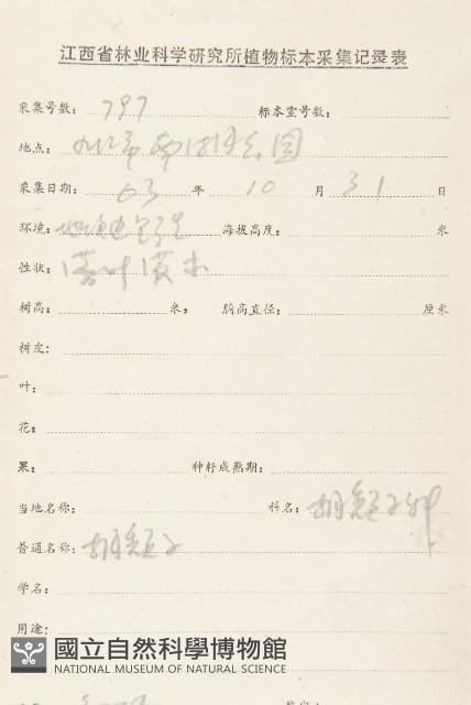 胡頹子藏品圖，第2張