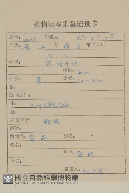 紫菀藏品圖，第2張
