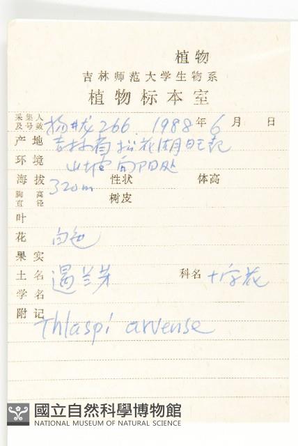 凹果菥蓂、遏藍菜藏品圖，第2張