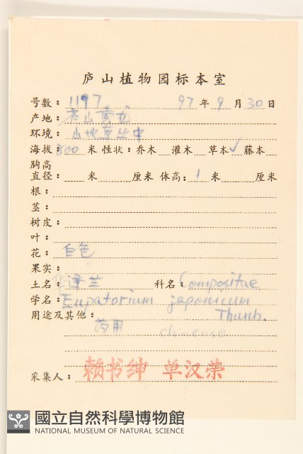 佩蘭、澤蘭藏品圖，第2張