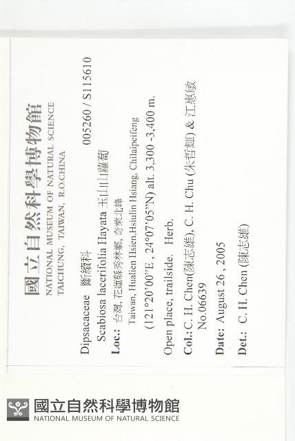 玉山山蘿蔔藏品圖，第2張