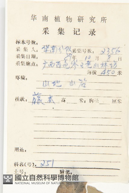 東京銀背藤藏品圖，第2張