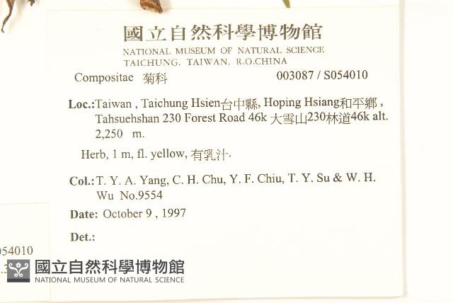 鵝仔草藏品圖，第2張