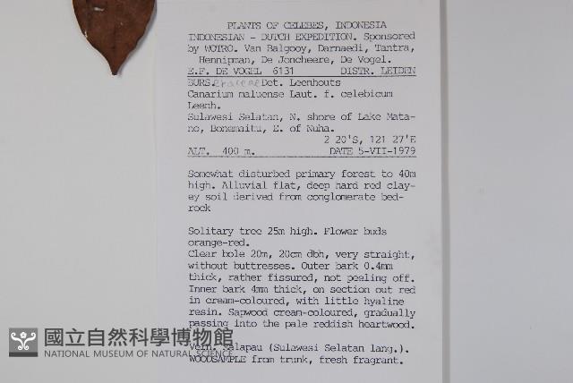 登錄號:S047010藏品圖，第2張