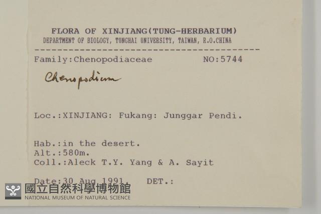 登錄號:S025710藏品圖，第2張