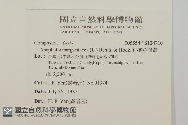 抱莖籟簫藏品圖，第2張