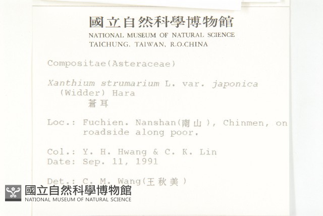 蒼耳藏品圖，第2張