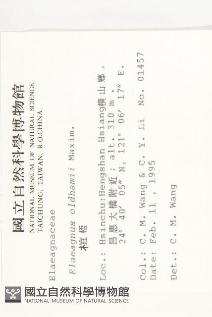 宜梧藏品圖，第2張