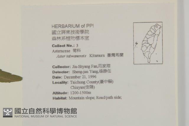 臺灣馬蘭藏品圖，第2張