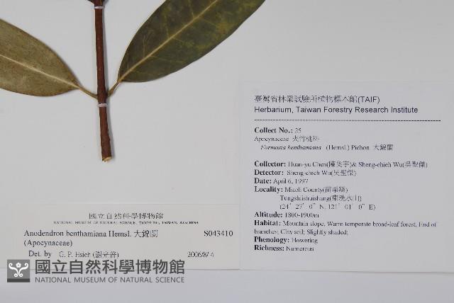 大錦蘭藏品圖，第2張