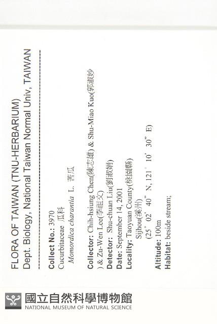 苦瓜藏品圖，第2張