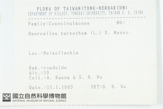 盒果藤藏品圖，第2張
