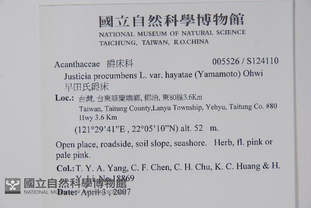 早田氏爵床藏品圖，第2張