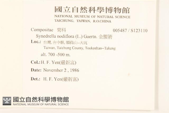 金腰箭藏品圖，第2張