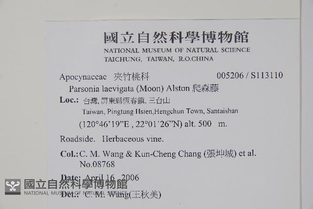 爬森藤藏品圖，第2張