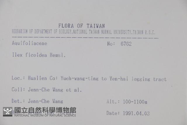 臺灣糊樗藏品圖，第2張