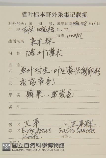 衛矛藏品圖，第2張