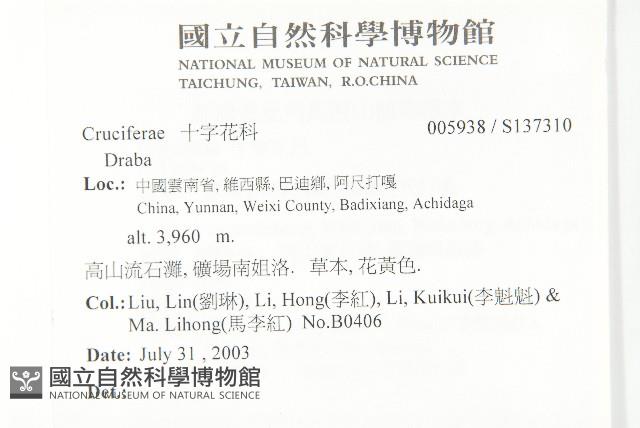 登錄號:S137310藏品圖，第2張