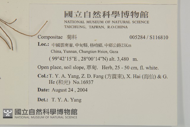 登錄號:S116810藏品圖，第2張