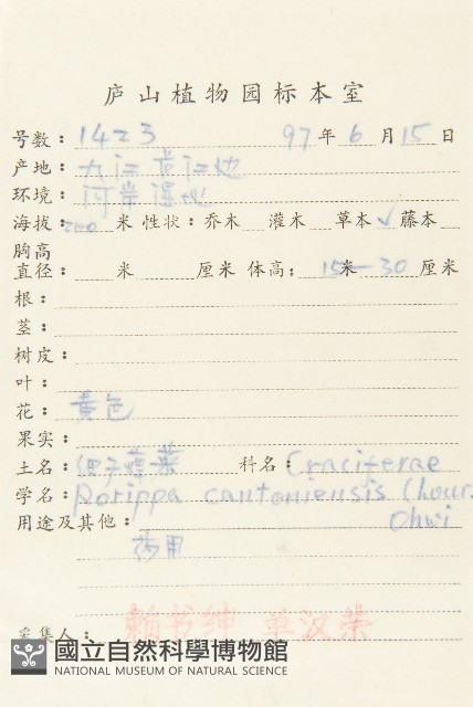 廣東葶藶藏品圖，第2張
