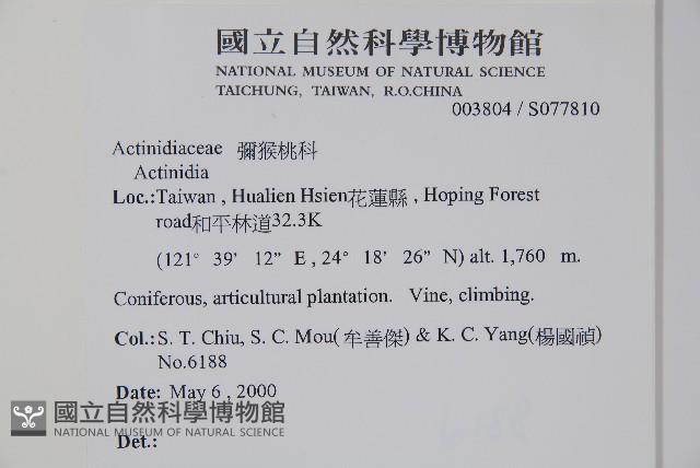 Accession Number:S077810 Collection Image, Figure 2, Total 2 Figures