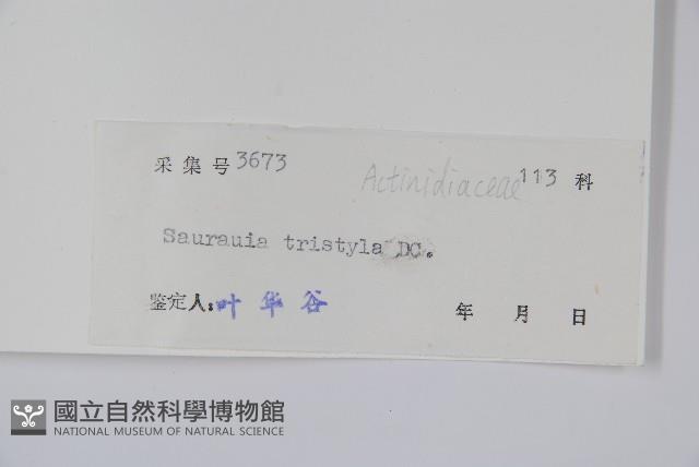 水東哥藏品圖，第2張