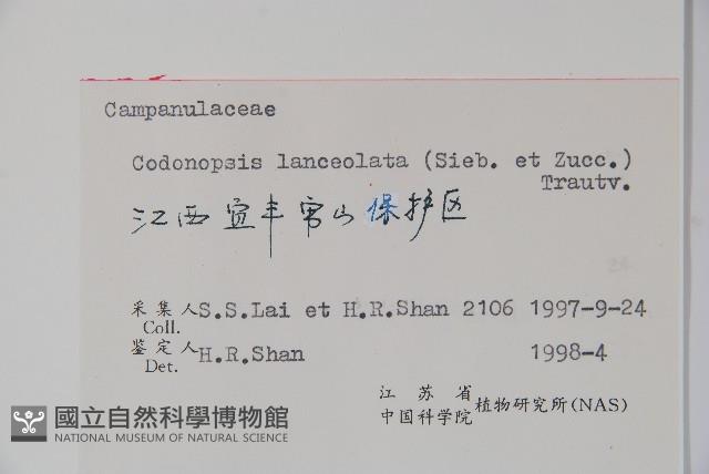 羊乳、四葉參藏品圖，第2張