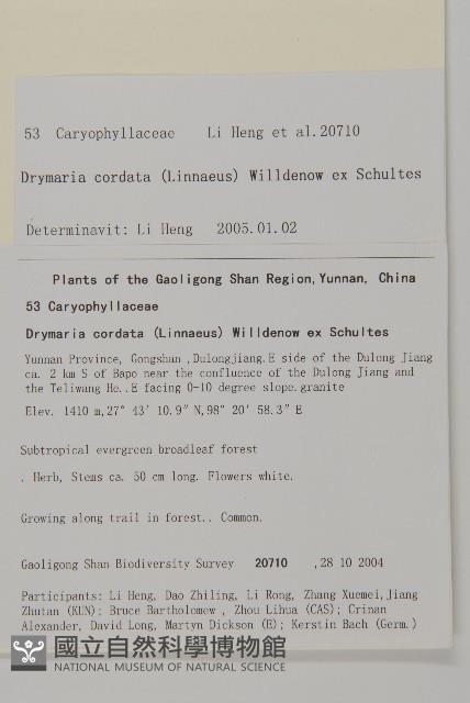 委陵菜藏品圖，第2張