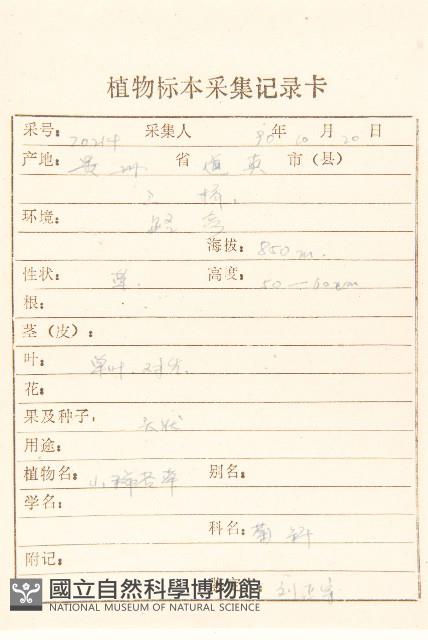 毛梗豨薟藏品圖，第2張