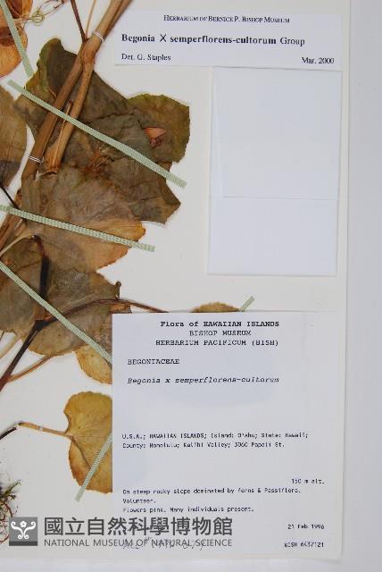 登錄號:S077510藏品圖，第2張