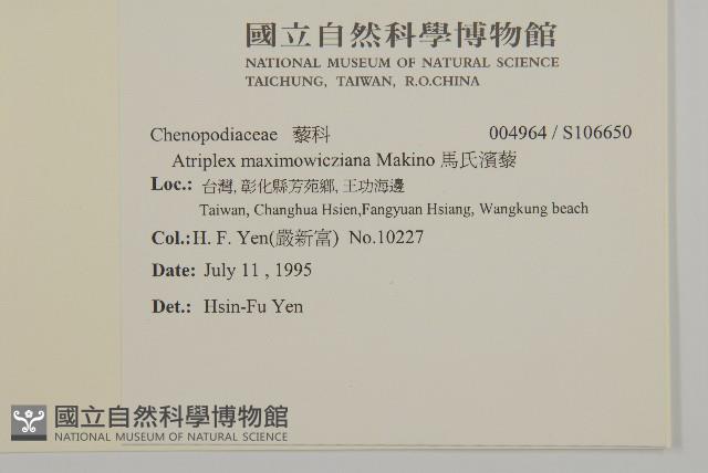 馬氏濱藜藏品圖，第2張