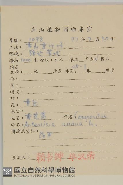 黃花蒿藏品圖，第2張