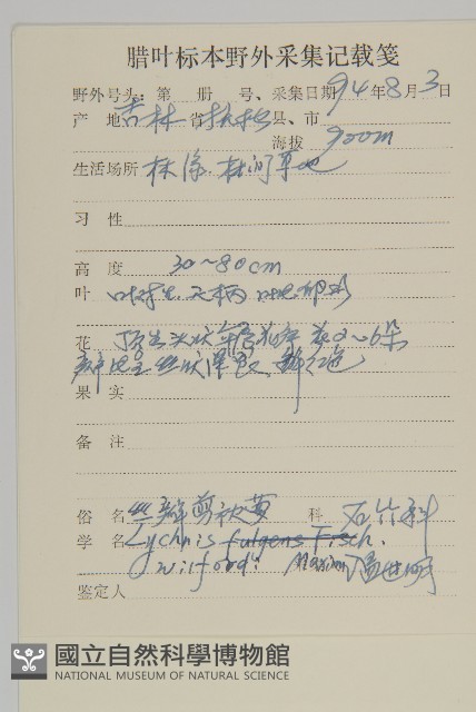 絲瓣剪秋籮藏品圖，第2張