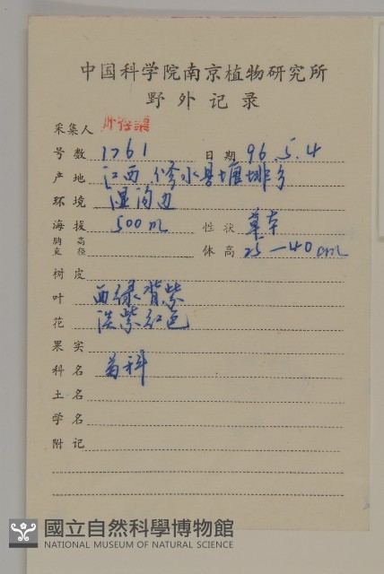 小葉一點紅藏品圖，第2張