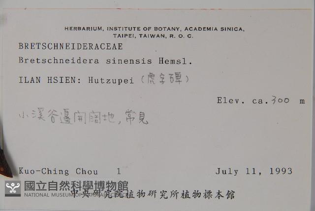 鐘萼木藏品圖，第2張