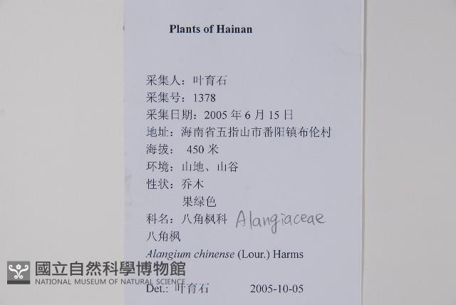 八角楓藏品圖，第2張