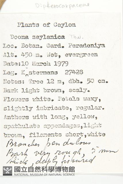 登錄號:S047050藏品圖，第2張