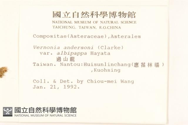 過山龍藏品圖，第2張