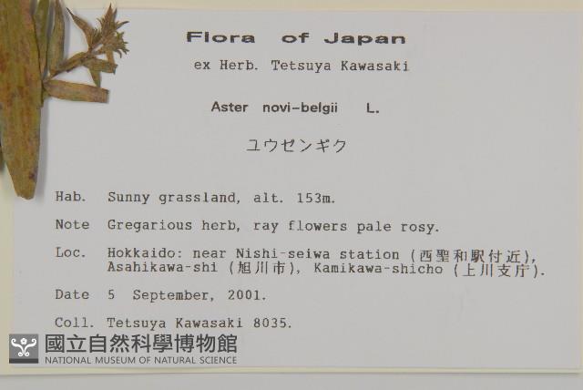 友禪花藏品圖，第2張