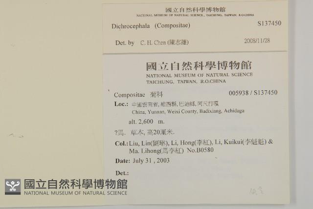 登錄號:S137450藏品圖，第2張